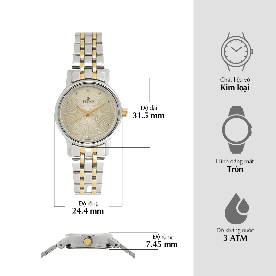 Titan Quartz Analog Champagne Dial Stainless Steel Strap Watch for Women