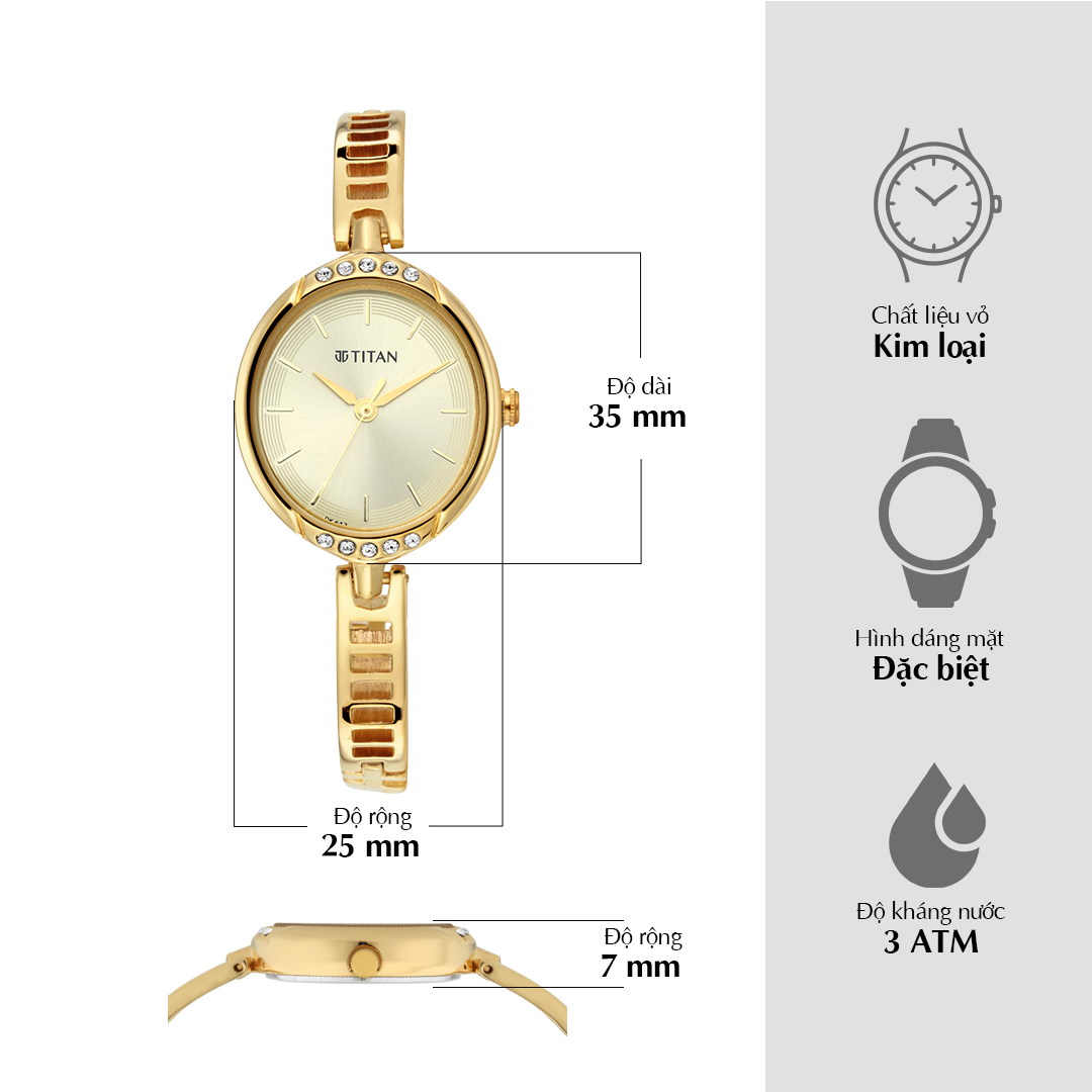 Titan Quartz Analog Golden Dial Metal Strap Watch for Women